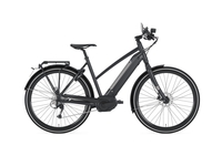 Gazelle CityZen Speed,  10 Gang Kettenschaltung,  Damenfahrrad,  Trapez,  Modell 2020,  28 Zoll,  blau,  blau,  49 cm