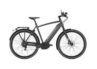 Gazelle Cityzen Speed 380,  1 Gang stufenlose Nabenschaltung,  Herrenfahrrad,  Diamant,  Modell 2019,  28 Zoll,  schwarz,  schwarz,  61 cm