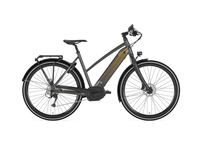 Gazelle CityZen T10 HMB,  Damen,  Trapez,  Modell 2019,  28 Zoll,  grau,  grau,  46 cm