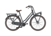 Gazelle HEAVYDUTYNL,  3 Gang Nabenschaltung,  Damenfahrrad,  Wave,  Modell 2020,  28 Zoll,  dust light,  dust light,  59 cm