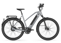 Gazelle ULTIMATE SPEED 380,  10 Gang Nabenschaltung,  Damenfahrrad,  Trapez,  Modell 2020,  28 Zoll,  industry grey,  industry grey,  53 cm