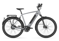 Gazelle ULTIMATE SPEED 380,  10 Gang Nabenschaltung,  Herrenfahrrad,  Diamant,  Modell 2020,  28 Zoll,  industry grey,  industry grey,  57 cm