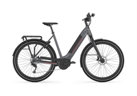 Gazelle ULTIMATE T10 HMB,  10 Gang Nabenschaltung,  Damenfahrrad,  Low-step,  Modell 2020,  28 Zoll,  dust light,  dust light,  53 cm