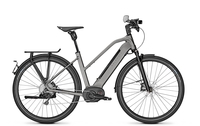 Kalkhoff ENDEAVOUR 5.B EXCITE 45 13, 4Ah,  11 Gang,  Damenfahrrad,  Trapez,  Modell 2019,  28 Zoll,  fossilgrey matt,  fossilgrey matt,  48 cm