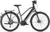 Kalkhoff ENDEAVOUR 5.B MOVE 45 (625 Wh),  10 Gang,  Damenfahrrad,  Trapez,  Modell 2020,  28 Zoll,  smokesilver/diamondblack glossy,  smokesilver/diamondblack glossy,  43 cm