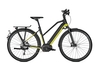 Kalkhoff ENDEAVOUR 5.B MOVE 45 (625 Wh),  10 Gang,  Damenfahrrad,  Trapez,  Modell 2020,  28 Zoll,  wasabigreen/magicblack matt,  wasabigreen/magicblack matt,  48 cm