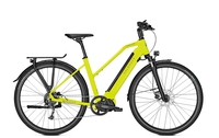 Kalkhoff ENDEAVOUR 5.S MOVE (15 Ah),  9 Gang,  Damenfahrrad,  Trapez,  Modell 2019,  28 Zoll,  limegreen matt,  limegreen matt,  53 cm
