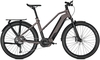 Kalkhoff ENTICE 7.B EXCITE (625 Wh),  12 Gang,  Damenfahrrad,  Trapez,  Modell 2020,  27, 5 Zoll,  moonstonegrey/magicblack matt,  moonstonegrey/magicblack matt,  53 cm