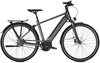 Kalkhoff IMAGE 5.B BELT (625 Wh),  5 Gang,  Herrenfahrrad,  Diamant,  Modell 2020,  28 Zoll,  atlasgrey matt,  atlasgrey matt,  43 cm