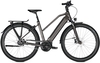 Kalkhoff IMAGE 5.B XXL (625 Wh),  5 Gang,  Damenfahrrad,  Trapez,  Modell 2020,  28 Zoll,  atlasgrey matt,  atlasgrey matt,  43 cm
