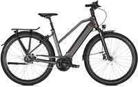 Kalkhoff IMAGE 5.B XXL (625 Wh),  5 Gang,  Damenfahrrad,  Trapez,  Modell 2020,  28 Zoll,  atlasgrey matt,  atlasgrey matt,  48 cm