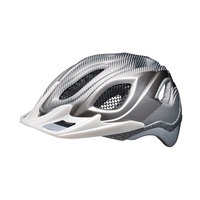 KED Fahrrad-helm Certus Pro,  silver,  silver,  55-63 cm