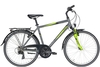 Pegasus Avanti 18 / 26 Zoll,  18 Gang Kettenschaltung,  Jungenfahrrad,  Diamant,  Modell 2020,  26 Zoll,  moonwalk grey,  moonwalk grey,  38 cm