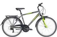 Pegasus Avanti 18 / 26 Zoll,  18 Gang Kettenschaltung,  Jungenfahrrad,  Diamant,  Modell 2020,  26 Zoll,  moonwalk grey,  moonwalk grey,  38 cm