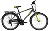 Pegasus Avanti,  21 Gang Kettenschaltung,  Jungenfahrrad,  Dirt,  Modell 2019,  26 Zoll,  moonwalk grey,  moonwalk grey,  44 cm