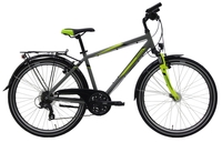 Pegasus Avanti,  21 Gang Kettenschaltung,  Jungenfahrrad,  Dirt,  Modell 2019,  26 Zoll,  moonwalk grey,  moonwalk grey,  44 cm