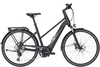 Pegasus Enovo Evo 10 (400 Wh),  10 Gang,  Trapez,  Modell 2020,  28 Zoll,  carbon matt,  carbon matt,  45 cm