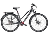Pegasus Estremo P18,  Pinion Tretlagerschaltung,  Damenfahrrad,  Trapez,  Modell 2020,  28 Zoll,  black chrome matt,  black chrome matt,  50 cm