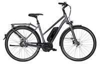 Pegasus Opero E8F Di2 (500 Wh),  8 Gang Nabenschaltung,  Damenfahrrad,  Trapez,  Modell 2019,  28 Zoll,  platinum-grau matt,  platinum-grau matt,  53 cm