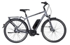 Pegasus Opero E8F Di2 (500 Wh),  8 Gang Nabenschaltung,  Herrenfahrrad,  Diamant,  Modell 2019,  28 Zoll,  platinum-grau matt,  platinum-grau matt,  61 cm