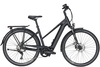 Pegasus Opero EVO 10 (750 Wh),  10 Gang Kettenschaltung,  Damenfahrrad,  Trapez,  Modell 2020,  28 Zoll,  black matt,  black matt,  45 cm