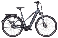 Pegasus Opero EVO 5 Di2 (750 Wh),  5 Gang Nabenschaltung,  Damenfahrrad,  Trapez,  Modell 2019,  28 Zoll,  platinum grey matt,  platinum grey matt,  45 cm