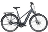 Pegasus Opero EVO 5F Di2 Automatic Belt (555Wh),  5 Gang Nabenschaltung,  Damenfahrrad,  Trapez,  Modell 2020,  28 Zoll,  platinum grey matt,  platinum grey matt,  58 cm