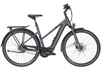 Pegasus Opero EVO 5F Di2 Automatic Belt (555Wh),  5 Gang Nabenschaltung,  Damenfahrrad,  Trapez,  Modell 2020,  28 Zoll,  platinum grey matt,  platinum grey matt,  58 cm