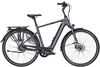 Pegasus Opero EVO 5F Di2 NL (750 Wh),  5 Gang Nabenschaltung,  Herrenfahrrad,  Diamant,  Modell 2020,  28 Zoll,  platinum grey matt,  platinum grey matt,  48 cm