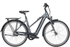Pegasus Opero EVO 5R Di2 (750Wh),  5 Gang Nabenschaltung,  Damenfahrrad,  Trapez,  Modell 2020,  28 Zoll,  platinium grey matt,  platinium grey matt,  50 cm