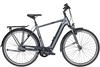 Pegasus Opero EVO 5R Di2 (750Wh),  5 Gang Nabenschaltung,  Herrenfahrrad,  Diamant,  Modell 2020,  28 Zoll,  platinium grey matt,  platinium grey matt,  61 cm