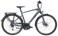 Pegasus Opero SL,  24 Gang Kettenschaltung,  Herrenfahrrad,  Trekking,  Modell 2019,  28 Zoll,  platinum-grau matt,  platinum-grau matt,  48 cm
