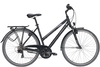 Pegasus Piazza 21,  21 Gang Kettenschaltung,  Damenfahrrad,  Trapez,  Modell 2020,  28 Zoll,  black matt/i-silver,  black matt/i-silver,  58 cm