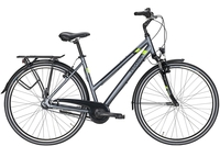 Pegasus Piazza 7,  7 Gang Nabenschaltung,  Damenfahrrad,  Trapez,  Modell 2020,  28 Zoll,  grey matt,  grey matt,  45 cm