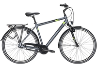 Pegasus Piazza 7,  7 Gang Nabenschaltung,  Herrenfahrrad,  Diamant,  Modell 2020,  28 Zoll,  grey matt,  grey matt,  48 cm