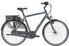 Pegasus Piazza E7 NL (400 Wh),  7 Gang Nabenschaltung,  Herrenfahrrad,  Diamant,  Modell 2020,  28 Zoll,  metallic matt,  metallic matt,  48 cm