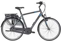 Pegasus Piazza E7 NL (500 Wh),  7 Gang Nabenschaltung,  Herrenfahrrad,  Diamant,  Modell 2020,  28 Zoll,  metallic matt,  metallic matt,  48 cm