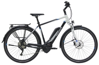 Pegasus Premio E10 Sport (400 Wh),  10 Gang Kettenschaltung,  Herrenfahrrad,  Diamant,  Modell 2019,  28 Zoll,  schwarz matt/weiß,  schwarz matt/weiß,  53 cm
