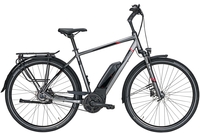 Pegasus Premio E8R Plus Belt Comfort (400 Wh),  8 Gang Nabenschaltung,  Herrenfahrrad,  Diamant,  Modell 2020,  28 Zoll,  black chrome matt,  black chrome matt,  53 cm