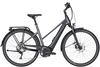 Pegasus Premio Evo 10 Lite (400 Wh),  10 Gang Kettenschaltung,  Damenfahrrad,  Trapez,  Modell 2020,  28 Zoll,  black chrome matt/black matt,  black chrome matt/black matt,  50 cm