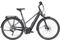 Pegasus Premio Evo 10 Lite (400 Wh),  10 Gang Kettenschaltung,  Damenfahrrad,  Trapez,  Modell 2020,  28 Zoll,  black chrome matt/black matt,  black chrome matt/black matt,  50 cm