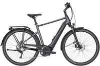 Pegasus Premio Evo 10 Lite (400 Wh),  10 Gang Kettenschaltung,  Herrenfahrrad,  Diamant,  Modell 2020,  28 Zoll,  black chrome matt/black matt,  black chrome matt/black matt,  55 cm