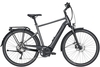 Pegasus Premio Evo 10 Lite (500 Wh),  10 Gang Kettenschaltung,  Herrenfahrrad,  Diamant,  Modell 2020,  28 Zoll,  black chrome matt/black matt,  black chrome matt/black matt,  60 cm