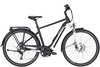 Pegasus Premio Evo 10 Lite (625 Wh),  10 Gang Kettenschaltung,  Herrenfahrrad,  Diamant,  Modell 2020,  28 Zoll,  black matt/white,  black matt/white,  45 cm