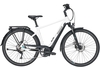 Pegasus Premio Evo 10 Lite (625 Wh),  10 Gang Kettenschaltung,  Herrenfahrrad,  Diamant,  Modell 2020,  28 Zoll,  metallic off white,  metallic off white,  45 cm