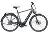 Pegasus Premio Evo 5F Lite Belt (400 Wh),  5 Gang Nabenschaltung,  Herrenfahrrad,  Diamant,  Modell 2020,  28 Zoll,  black chrome/black all matt,  black chrome/black all matt,  45 cm