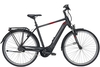 Pegasus Premio EVO 5R (625 Wh),  5 Gang Nabenschaltung,  Herrenfahrrad,  Diamant,  Modell 2020,  28 Zoll,  black matt,  black matt,  45 cm