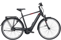 Pegasus Premio EVO 5R (625 Wh),  5 Gang Nabenschaltung,  Herrenfahrrad,  Diamant,  Modell 2020,  28 Zoll,  black matt,  black matt,  45 cm