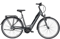 Pegasus Premio Evo 5R Belt (625 Wh),  5 Gang Nabenschaltung,  Damenfahrrad,  Wave,  Modell 2020,  28 Zoll,  grey,  grey,  45 cm