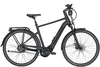 Pegasus Premio Evo NV Lite Belt ABS (400 Wh),  stufenlose Nabenschaltung,  Herrenfahrrad,  Diamant,  Modell 2020,  28 Zoll,  black matt/black,  black matt/black,  50 cm